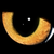 :iconlia-anni: