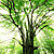 :iconlia-idris: