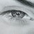 :iconlia-kami: