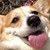 :iconlia-tan: