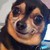 :iconliaestrella: