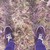 :iconliamharding: