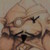 :iconlian55: