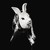 :iconlianne-joa: