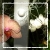 :iconliashi: