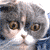 :iconlibbymydear: