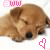 :iconlibelinhanalua: