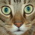:iconlibraryloveletter: