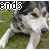 :iconliccorice: