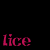 :iconlice: