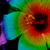 :iconlichitysplit: