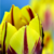 :iconlichtschatten: