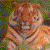 :iconlichung: