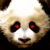 :iconlickafoot: