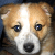 :iconlicktastic: