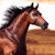 :iconlicor-drop: