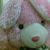 :iconlid-yang: