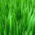 :iconLiddy672:
