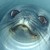 :iconlidiaisdead: