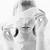 :iconlidianna01: