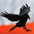 :iconliebhaber-der-liebe: