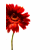 :iconliefvirjou:
