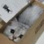 :iconliengbear: