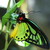 :iconliepard18: