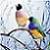 :iconliezuh:
