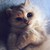 :iconlife-in-a-jar: