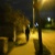 :iconlife-of-a-stray: