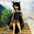 :iconlife-stones: