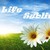 :iconlife-sublime: