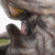:iconlife4dogs: