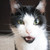 :iconlifebehindalens: