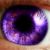 :iconlifegate: