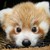 :iconlifeisart120: