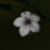 :iconlifeiscomedy: