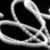 :iconlifeisgood8: