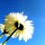 :iconlifemaintenance: