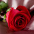 :iconlifemystery: