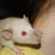 :iconlifeprotagonist:
