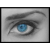 :iconlifeprotector: