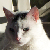 :iconlifesbox:
