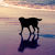 :iconlifeunderthesun: