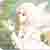 :iconlifeweaver: