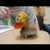 :iconlifewithcomedy: