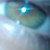 :iconligeiatideland:
