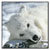 :iconlight-air18: