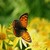 :iconlight-my-fire11: